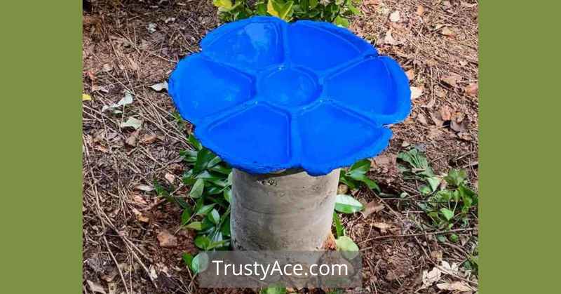 Concrete Bird Bath Ideas With Tops