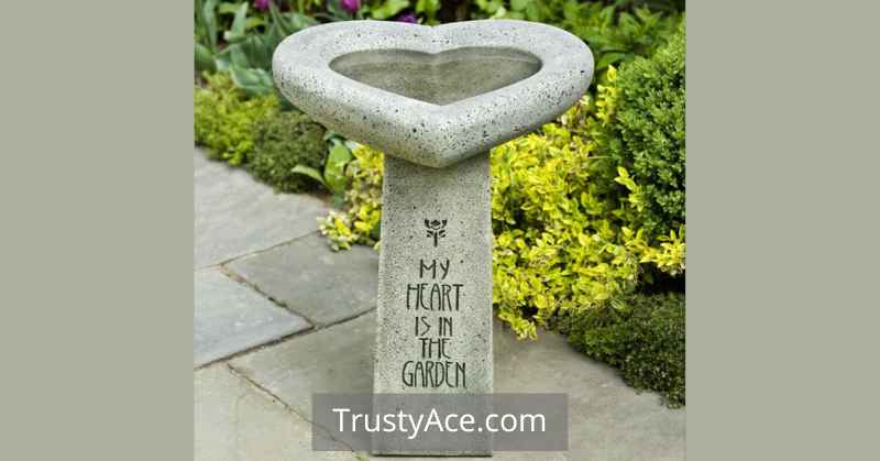 Bird Bath Ideas With Concrete Tops