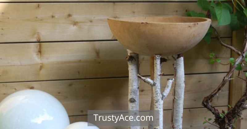 Making A Simple Bird Bath Ideas