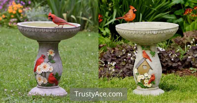 Medium Height Bird Bath Ideas