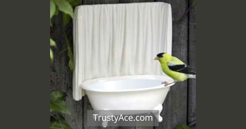 Mounted Bird Bath Ideas