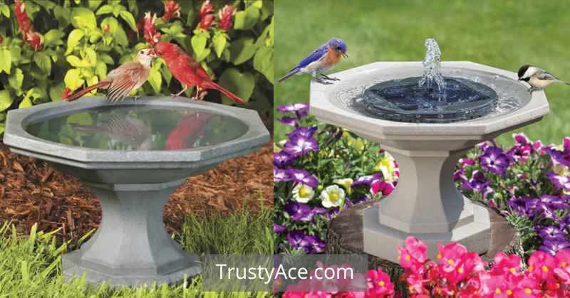 Near Ground Bird Bath Ideas