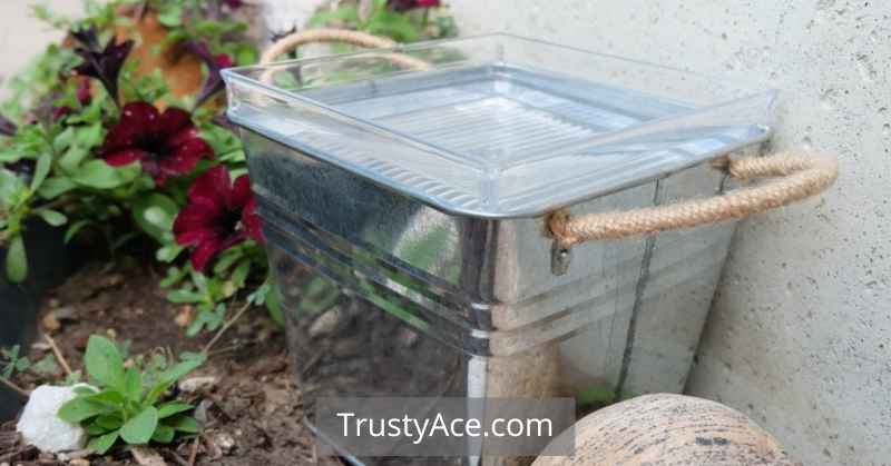 Quick Bird Bath Ideas