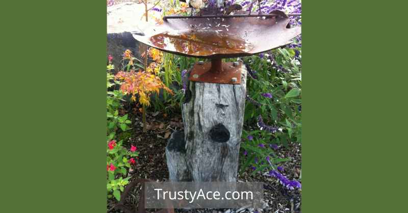 Rock Garden Bird Bath Ideas