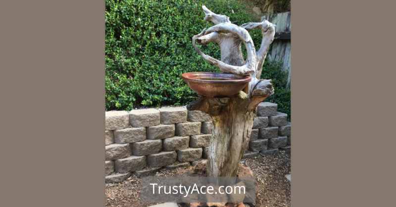 Bird Bath Ideas Rustic