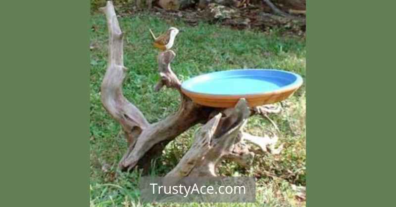 Rustic Bird Bath Ideas