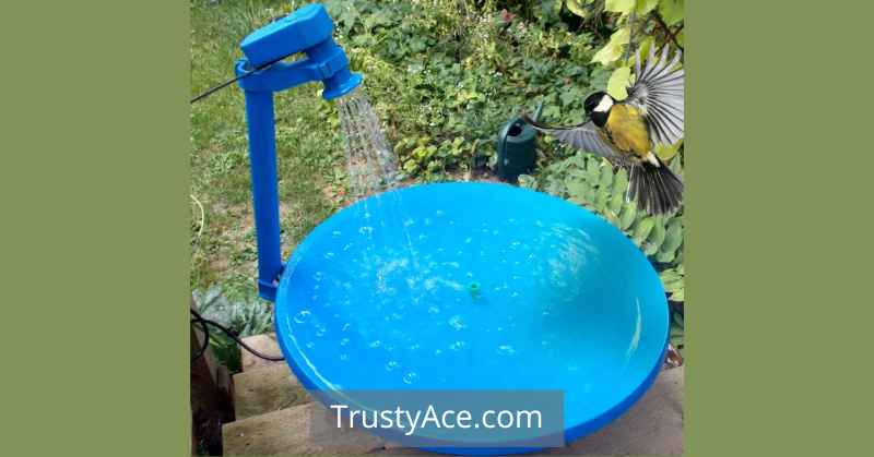 Satellite Dish Bird Bath Ideas