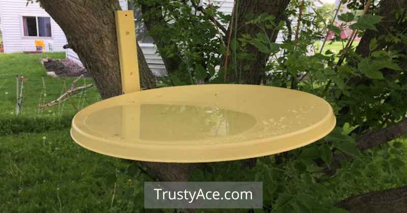 Bird Bath Ideas Satellite Dish