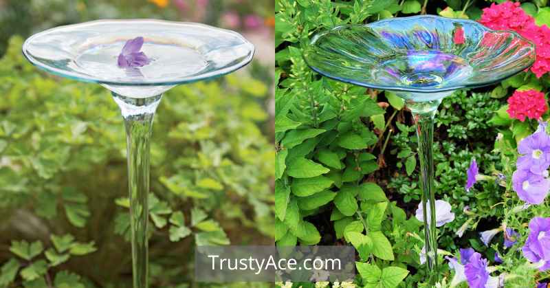 Small Bird Bath Ideas