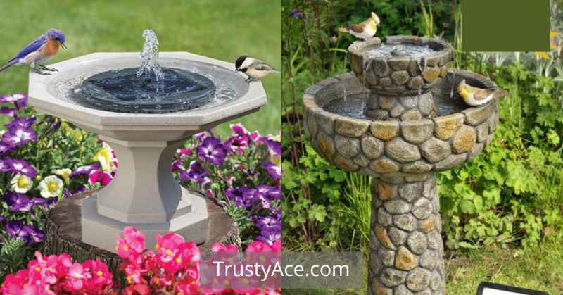 Solar Bird Bath Ideas