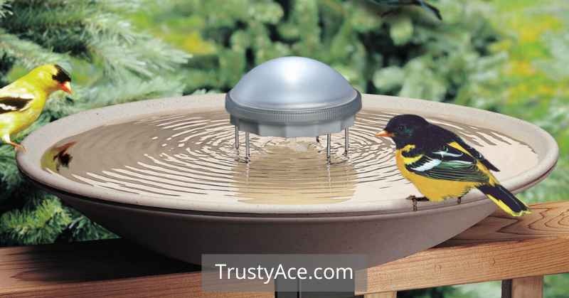 Solar Bird Bath Ideas