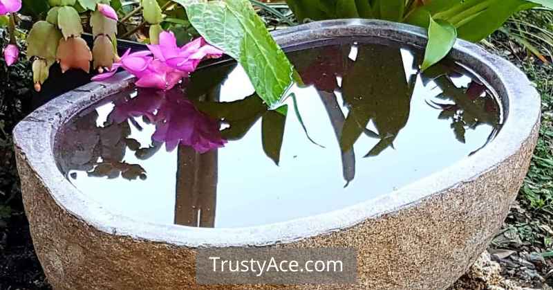 Bird Bath Ideas Yard