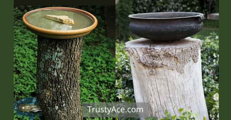 Tree Stump Bird Bath Ideas For Backyard