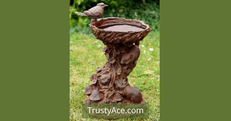 Tree Stump Bird Bath Ideas