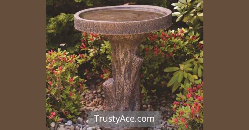 Bird Bath Ideas Tree Stump