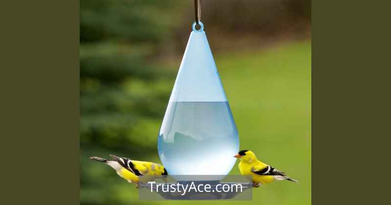 Bird Bath Ideas Unusual Hanging Waterer