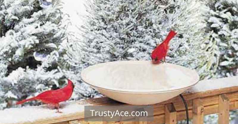 Bird Bath Ideas For Winter