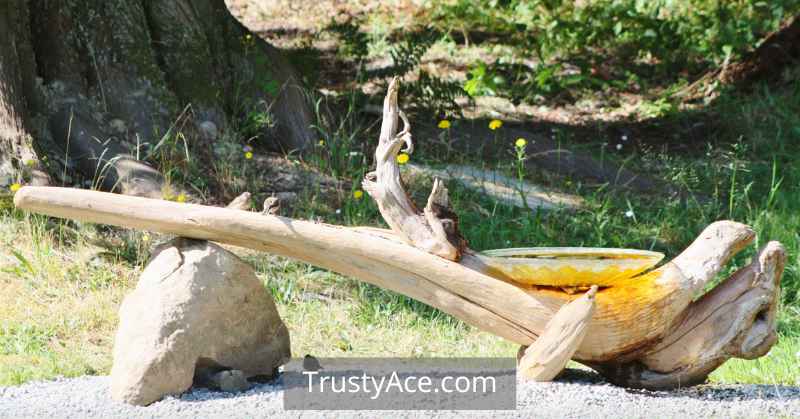 Wood Carving Bird Bath Ideas