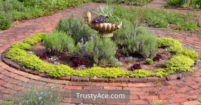 How To Lay Brick Pavers On Dirt