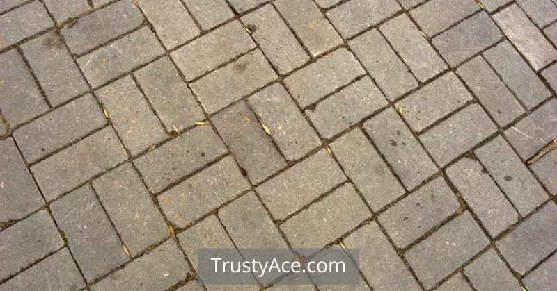 Brick Patio Patterns Beginners