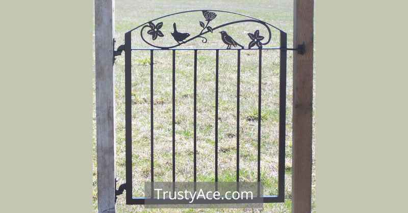 Backyard Fence Gate Ideas