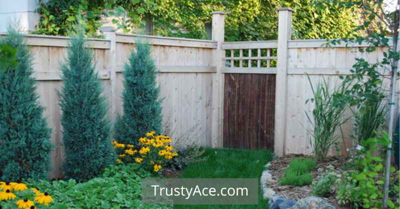 Backyard Fence Gate Ideas