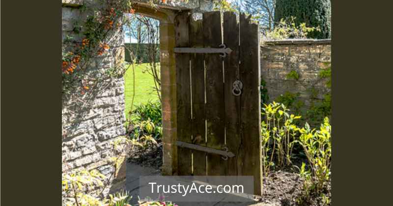 Backyard Fence Gate Ideas Unique