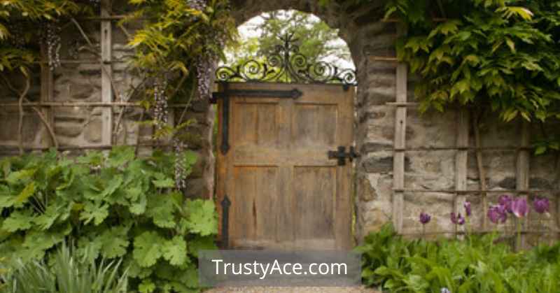 Unique Backyard Fence Gate Ideas