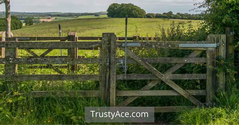 Fence Gate Ideas Easy