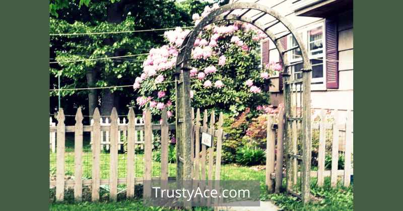 Scallop Picket Fence Gate Ideas