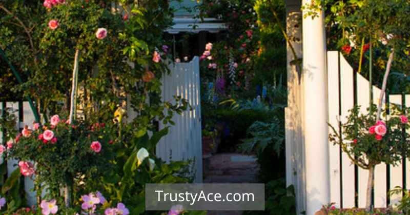 Fence Gate Ideas With Arbor And Door