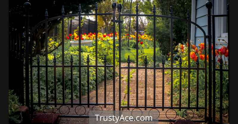 Backyard Fence Gates Ideas With Wrought Iron