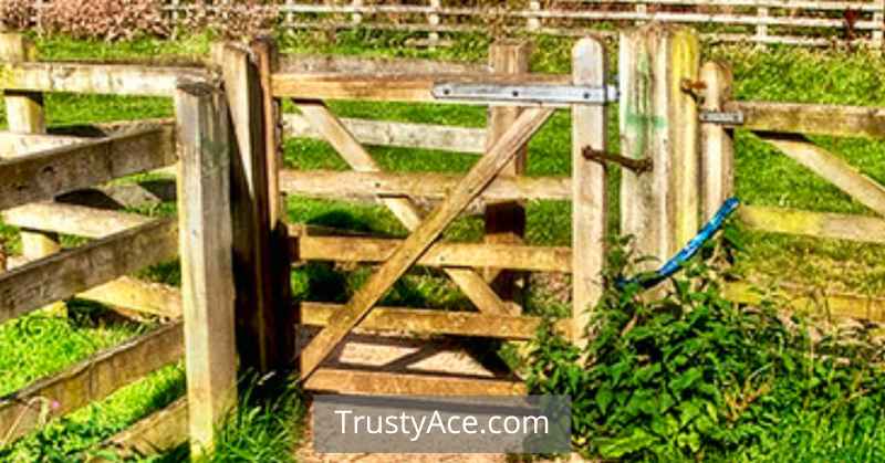 Corner Fence Gate Ideas