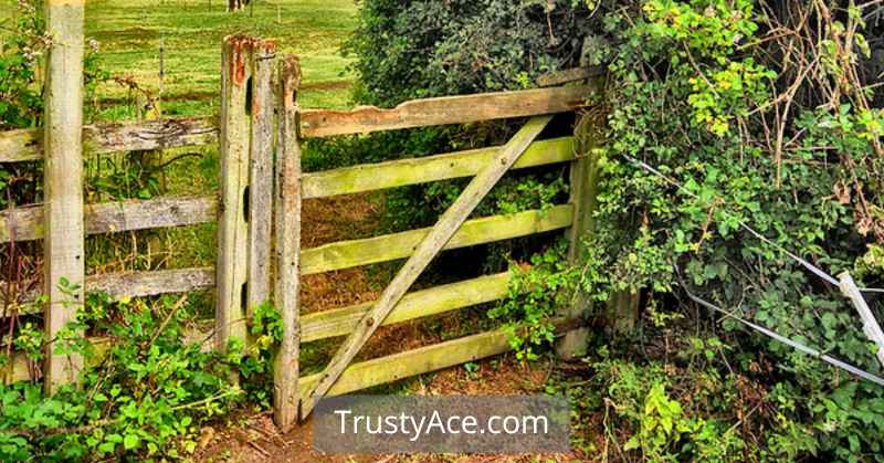 Fence Gate Ideas For Corner