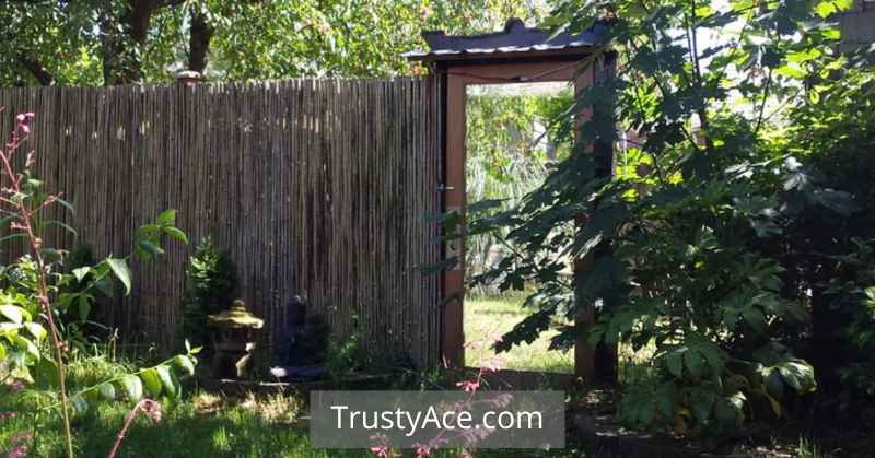 Wide Fence Gate Ideas