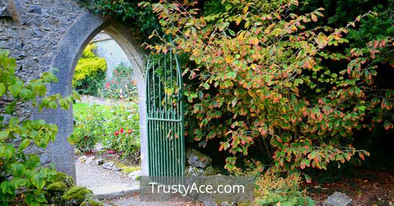 Fence Gate Ideas Large