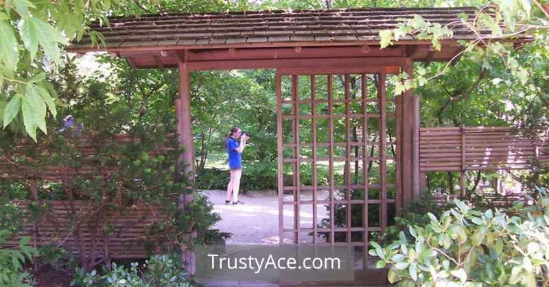 Japanese Fence Gate Ideas