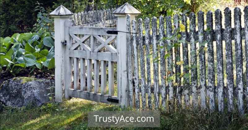 Wooden Rustic Fence Gate Ideas