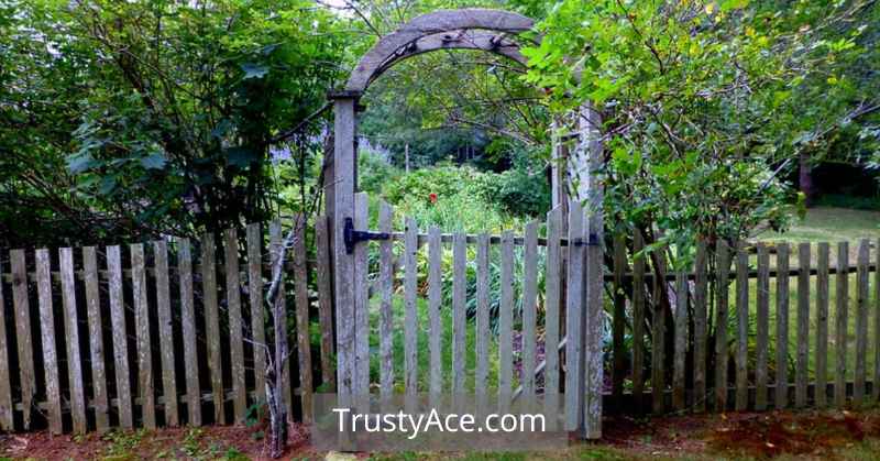 Picket Fence Gate Ideas Small