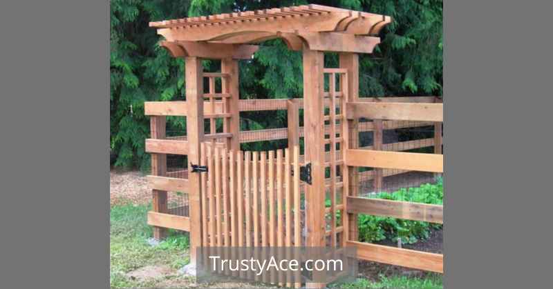 Fence Gate Design Ideas With Pergola