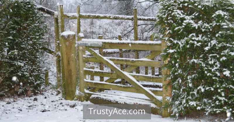 Fence Gate Ideas With Wood