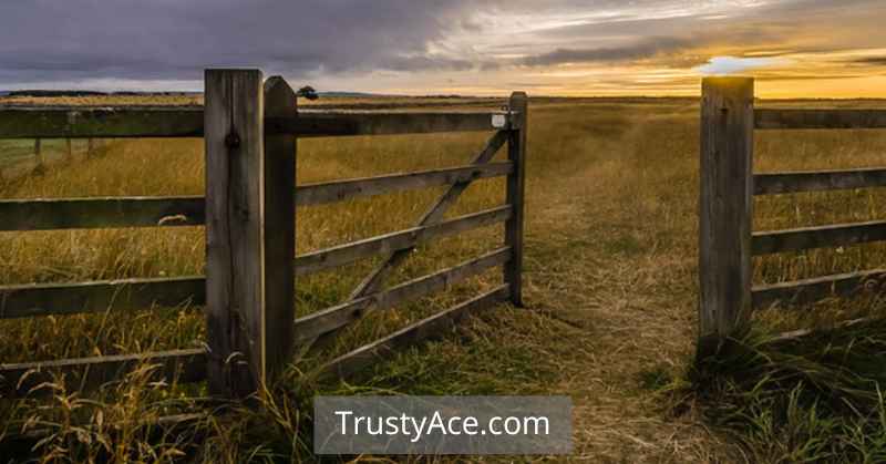 Fence Gate Ideas Using Wood