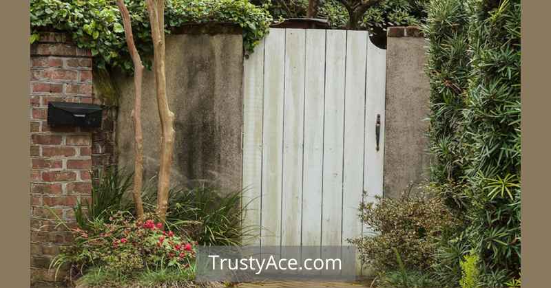 Wood Fence Gate Ideas