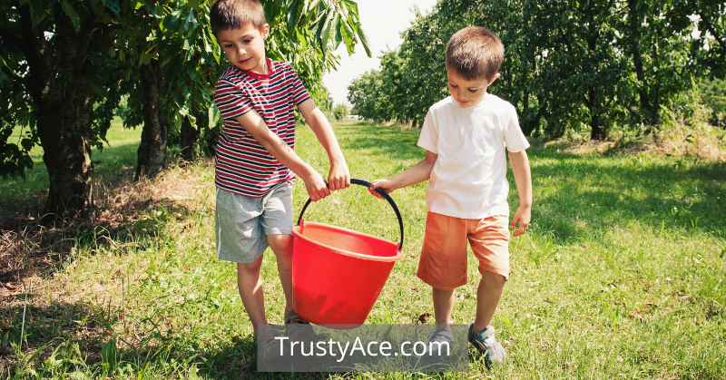 Empty the Bucket Game - Fun Outdoor Party Games For Adults Large Groups