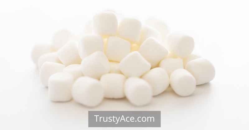 Marshmallow Toss - Fun Team Building Outdoor Games For Large Groups