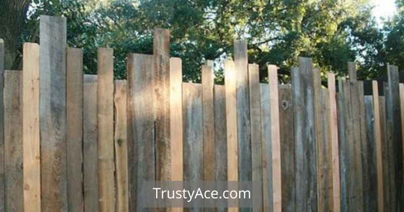 Cheap Vegetable Garden Fence Ideas