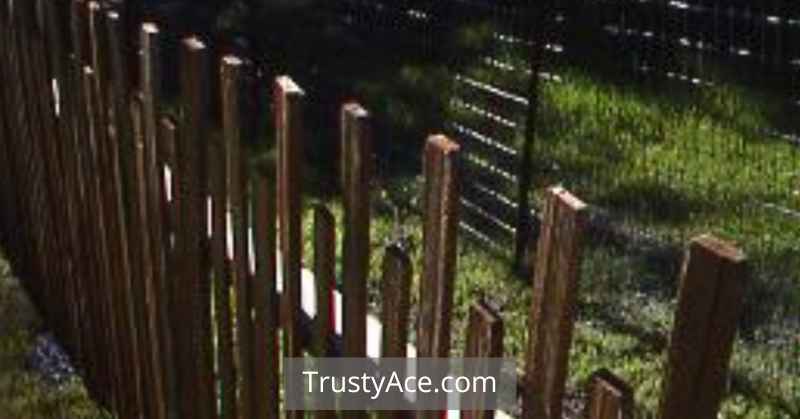 Garden Fence Ideas Deer Proof