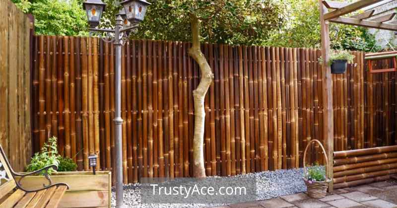 Ideas For Bamboo Garden Fence