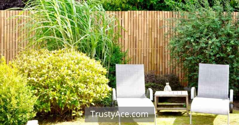 Garden Fence Ideas Using Bamboo