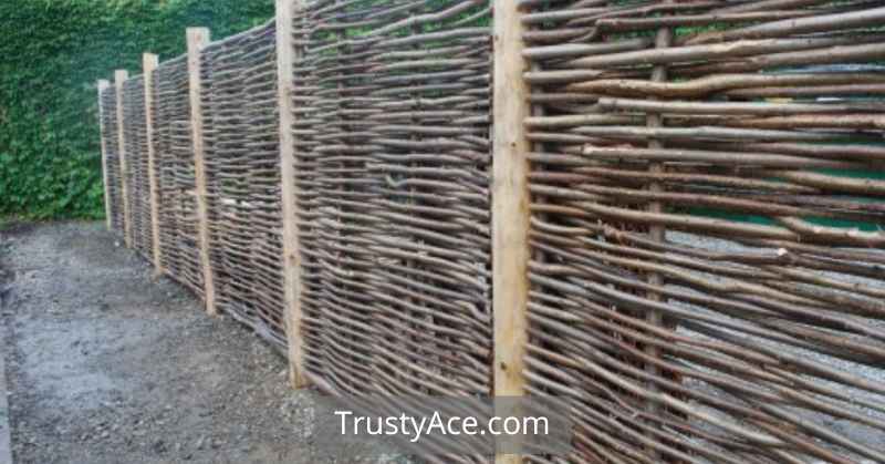 Cheap DIY Garden Fence Ideas